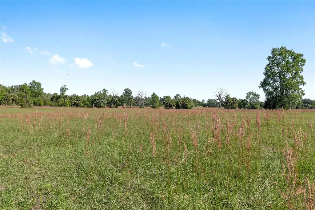 6405 NW 165th Street Reddick FL 32686