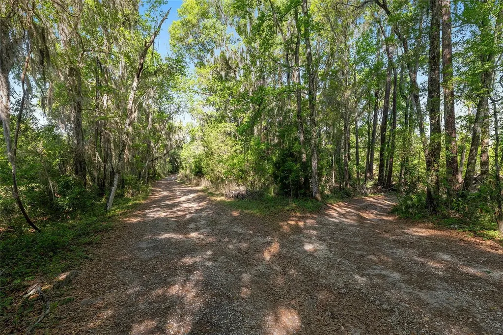 6405 NW 165th Street Reddick FL 32686