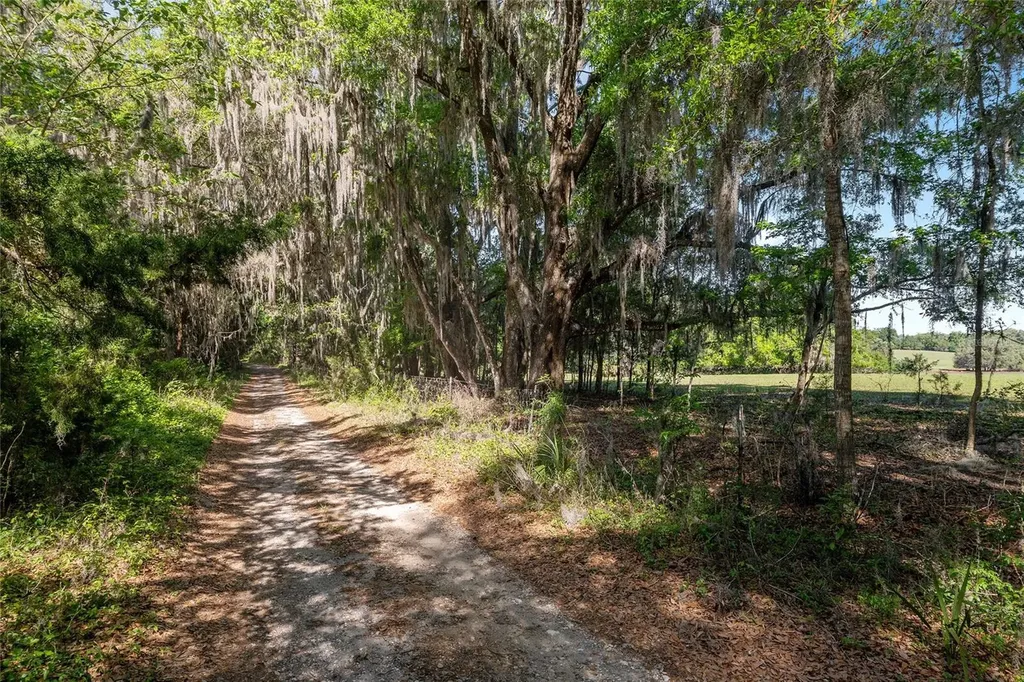 6405 NW 165th Street Reddick FL 32686