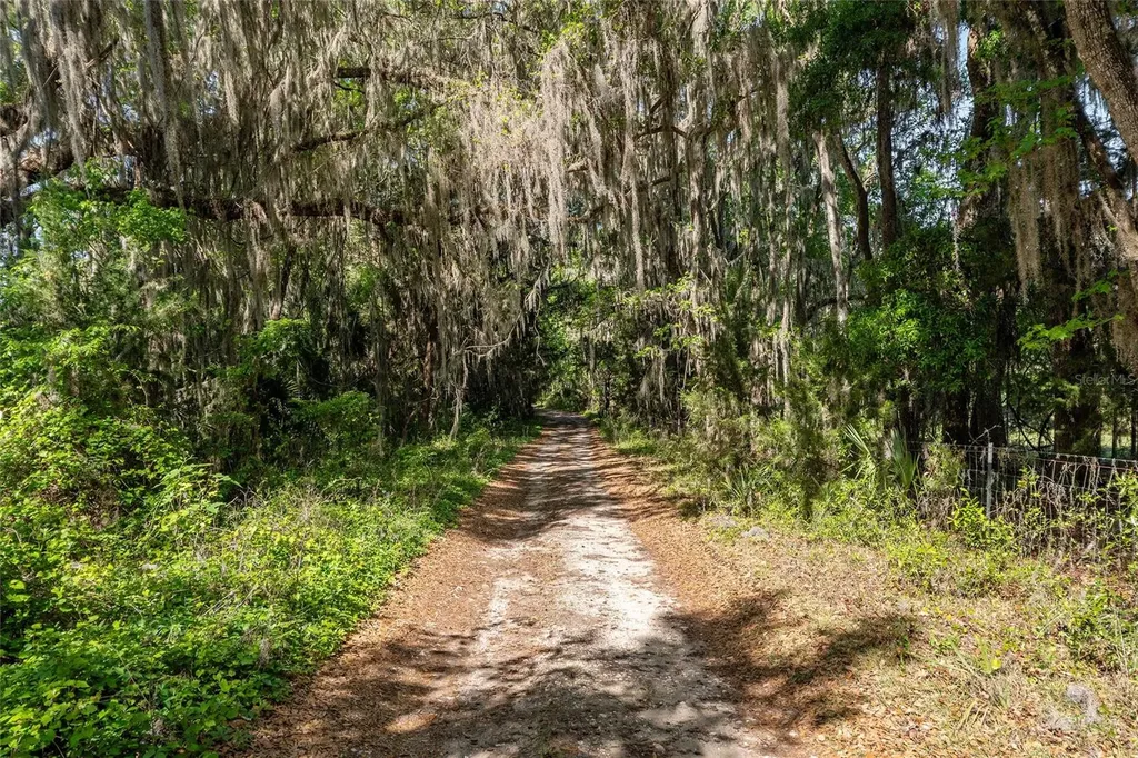 6405 NW 165th Street Reddick FL 32686