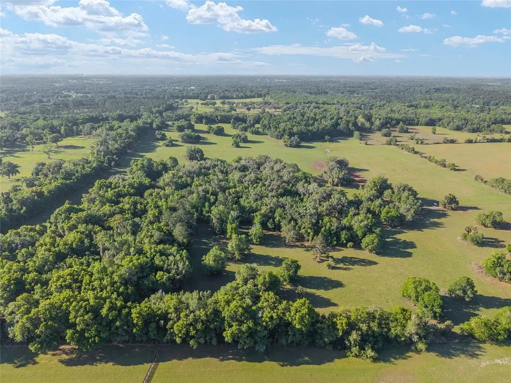 6405 NW 165th Street Reddick FL 32686