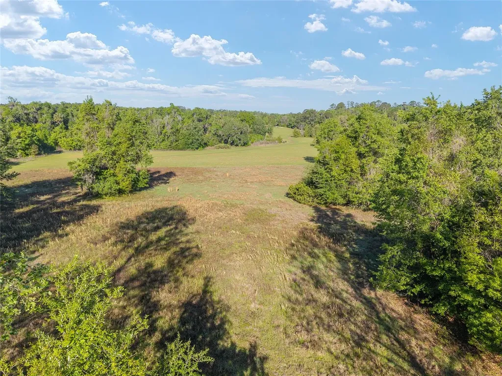 6405 NW 165th Street Reddick FL 32686