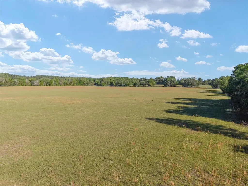 6405 NW 165th Street Reddick FL 32686
