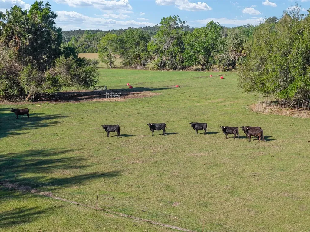 6405 NW 165th Street Reddick FL 32686