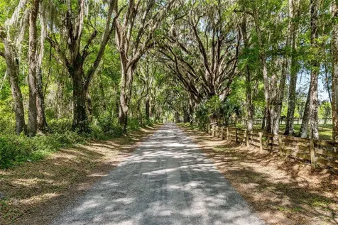6405 NW 165th Street Reddick FL 32686