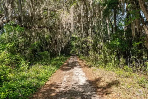 6405 NW 165th Street Reddick FL 32686