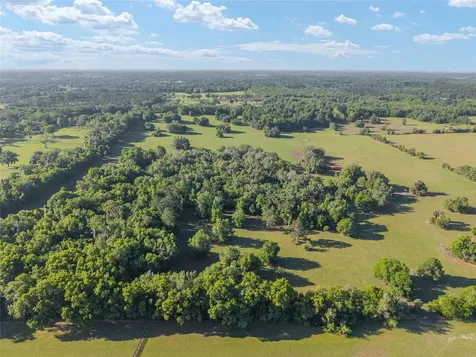 6405 NW 165th Street Reddick FL 32686
