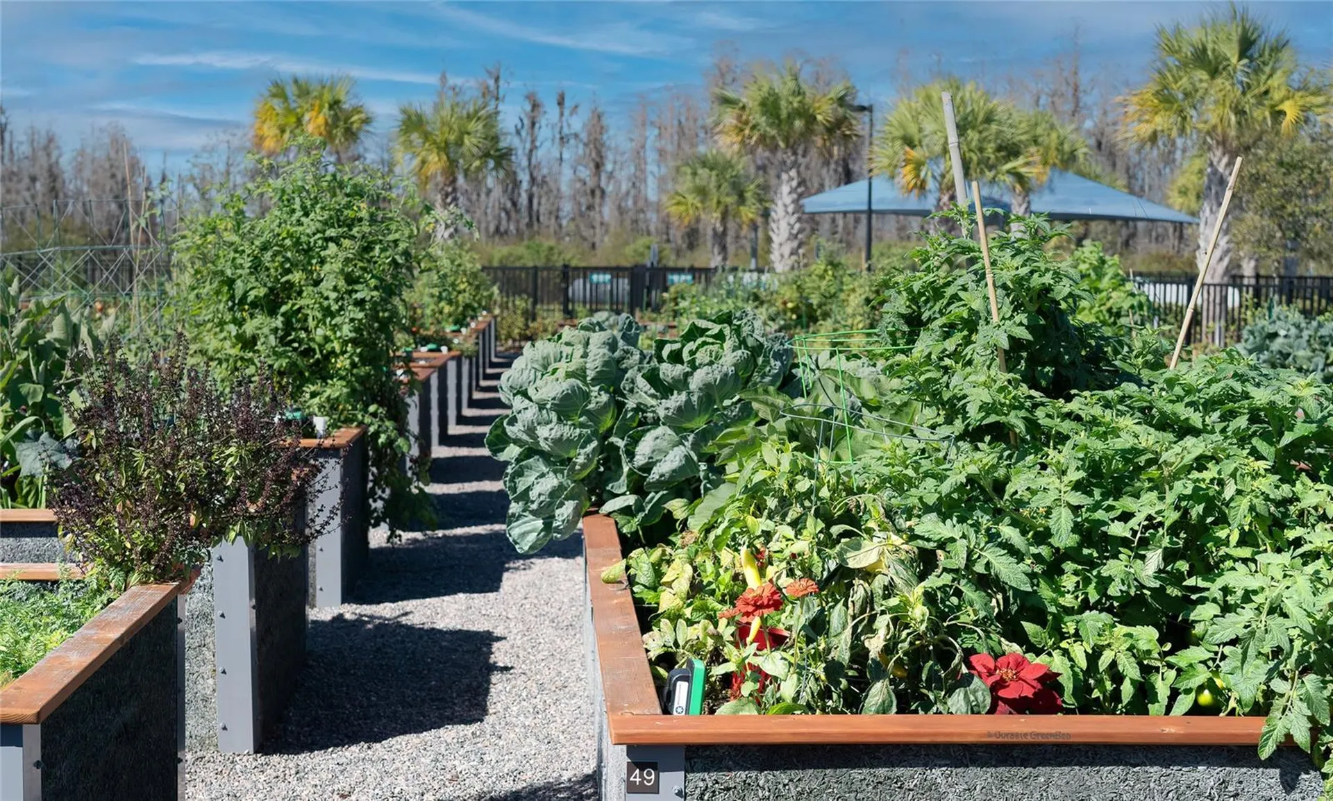 19724 Ship Wheel Way Land O Lakes FL 34638