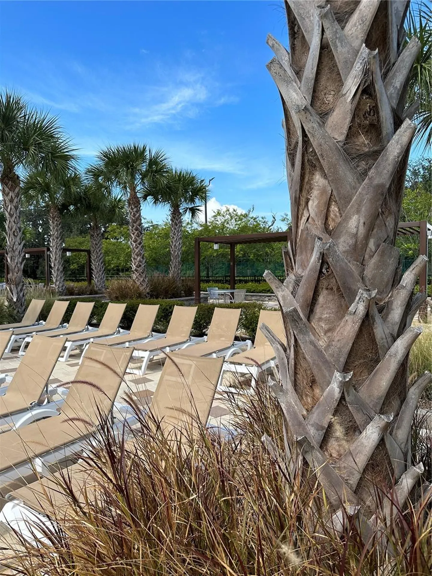 2525 Relaxing Lane Kissimmee FL 34744