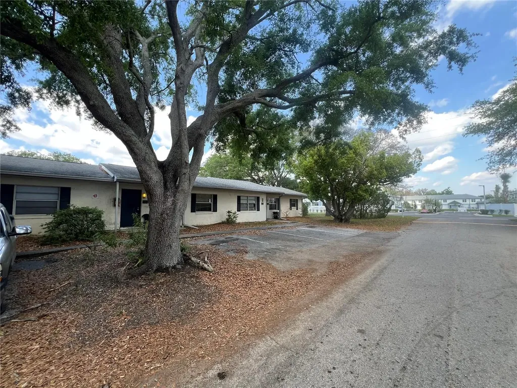 1000 E Caroline Street Tavares FL 32778