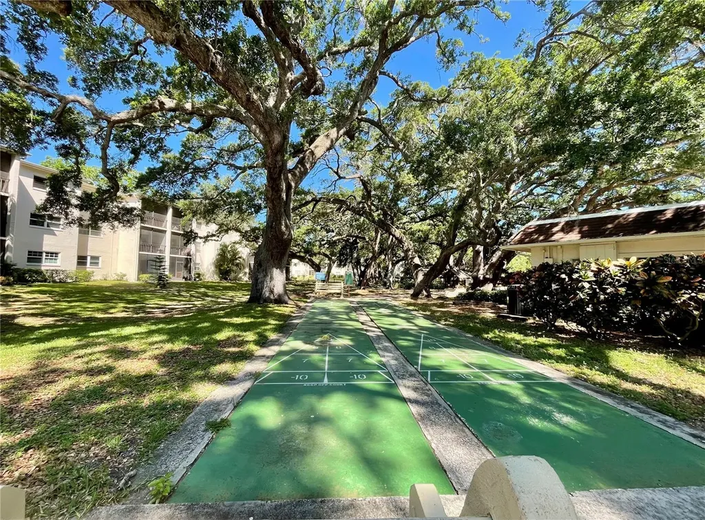 840 Virginia Street Dunedin FL 34698