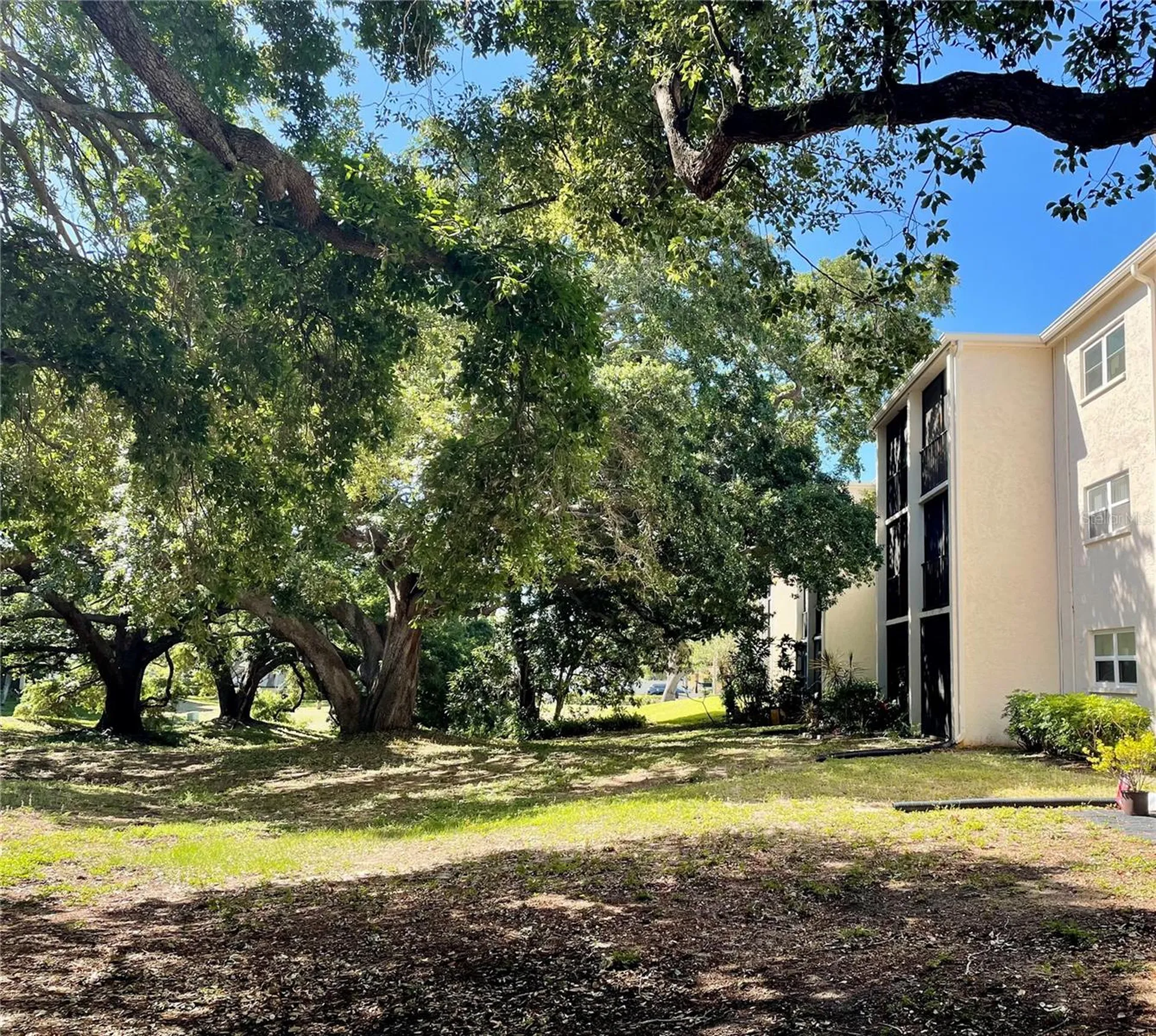 840 Virginia Street Dunedin FL 34698