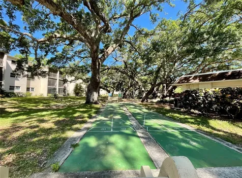 840 Virginia Street Dunedin FL 34698