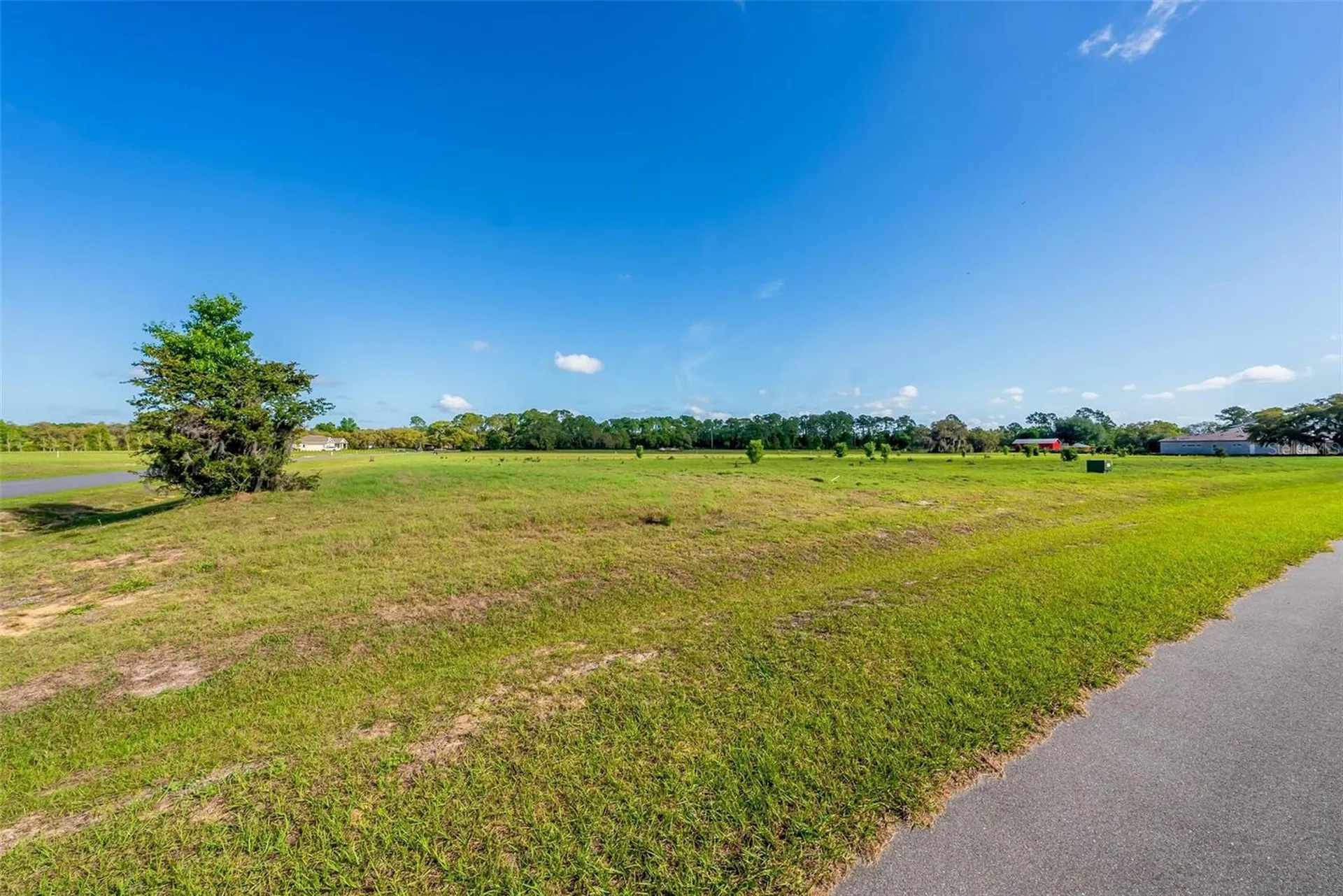 38529 Wooded Meadow Drive Umatilla FL 32784