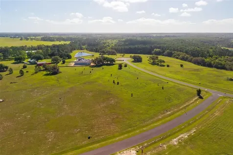 38529 Wooded Meadow Drive Umatilla FL 32784
