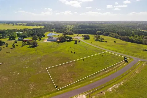 38529 Wooded Meadow Drive Umatilla FL 32784