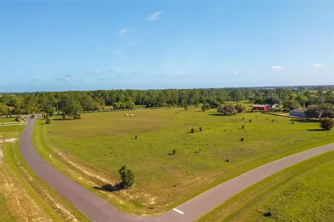 38529 Wooded Meadow Drive Umatilla FL 32784