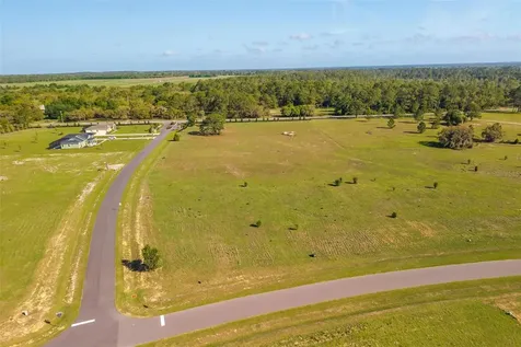 38529 Wooded Meadow Drive Umatilla FL 32784