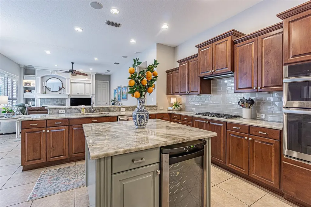 27053 Winged Elm Drive Wesley Chapel FL 33544