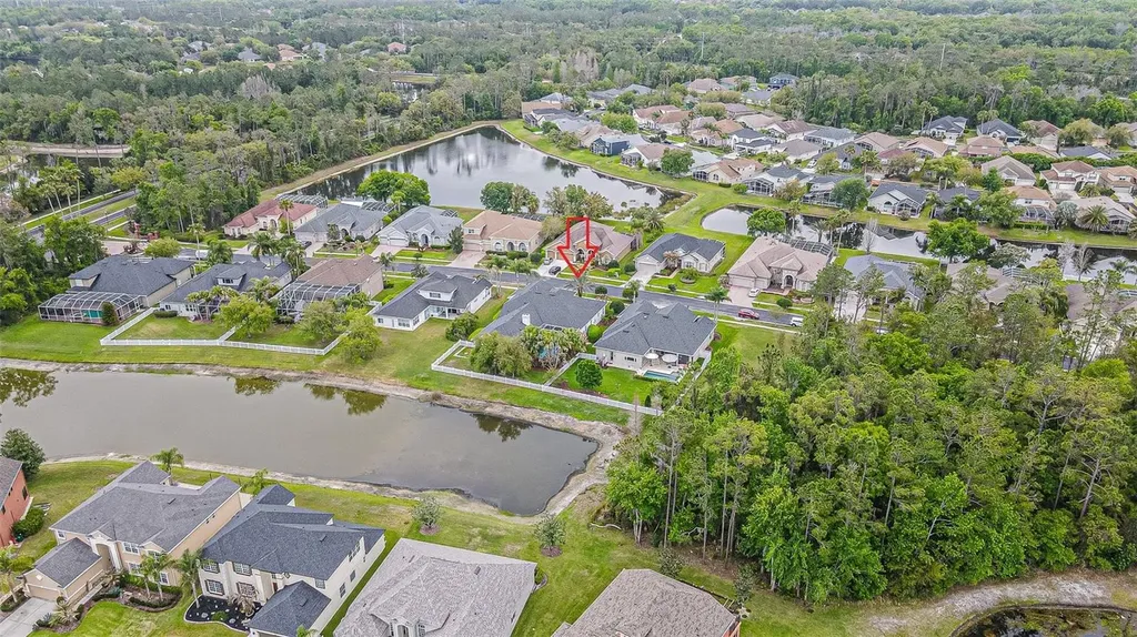 27053 Winged Elm Drive Wesley Chapel FL 33544