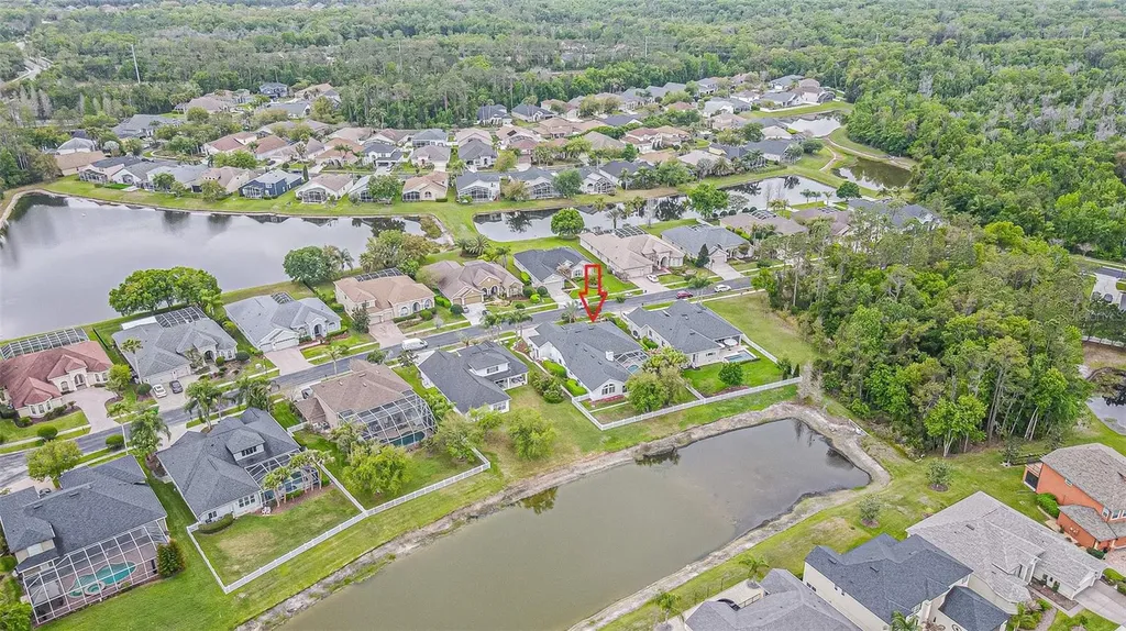 27053 Winged Elm Drive Wesley Chapel FL 33544