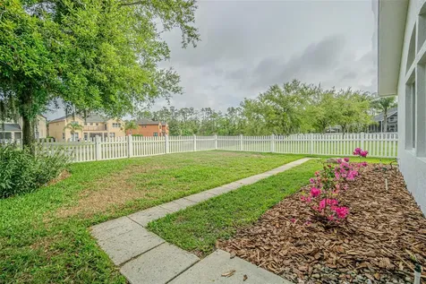 27053 Winged Elm Drive Wesley Chapel FL 33544
