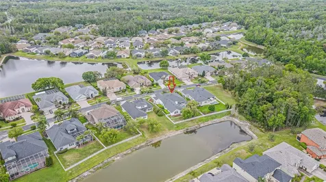 27053 Winged Elm Drive Wesley Chapel FL 33544