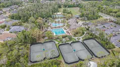 27053 Winged Elm Drive Wesley Chapel FL 33544
