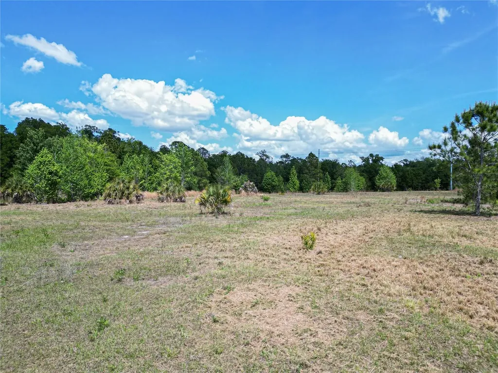 Coronet Road Mulberry FL 33860