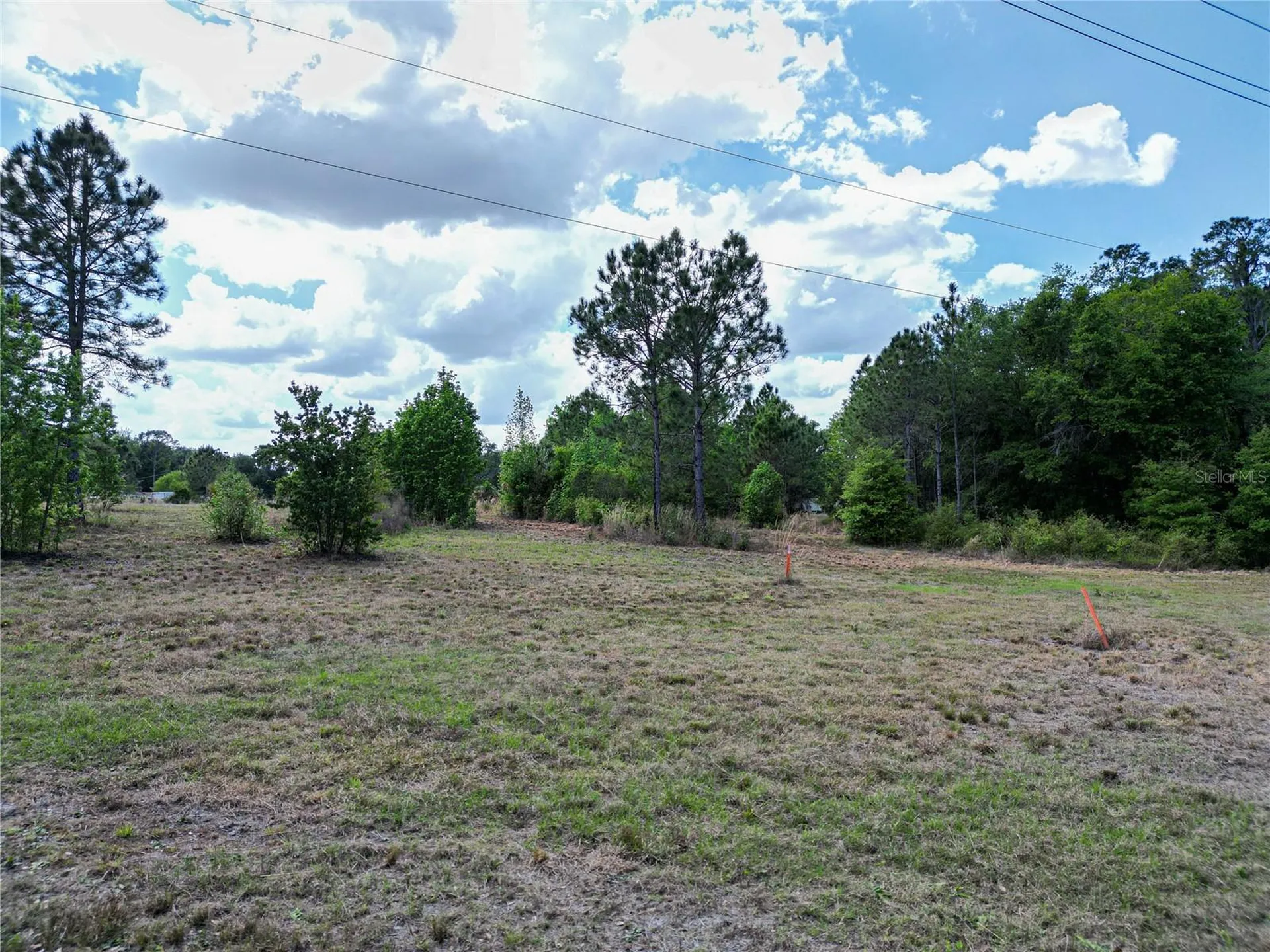 Coronet Road Mulberry FL 33860