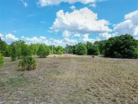Coronet Road Mulberry FL 33860