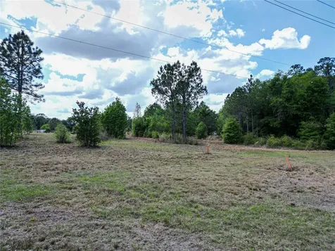 Coronet Road Mulberry FL 33860