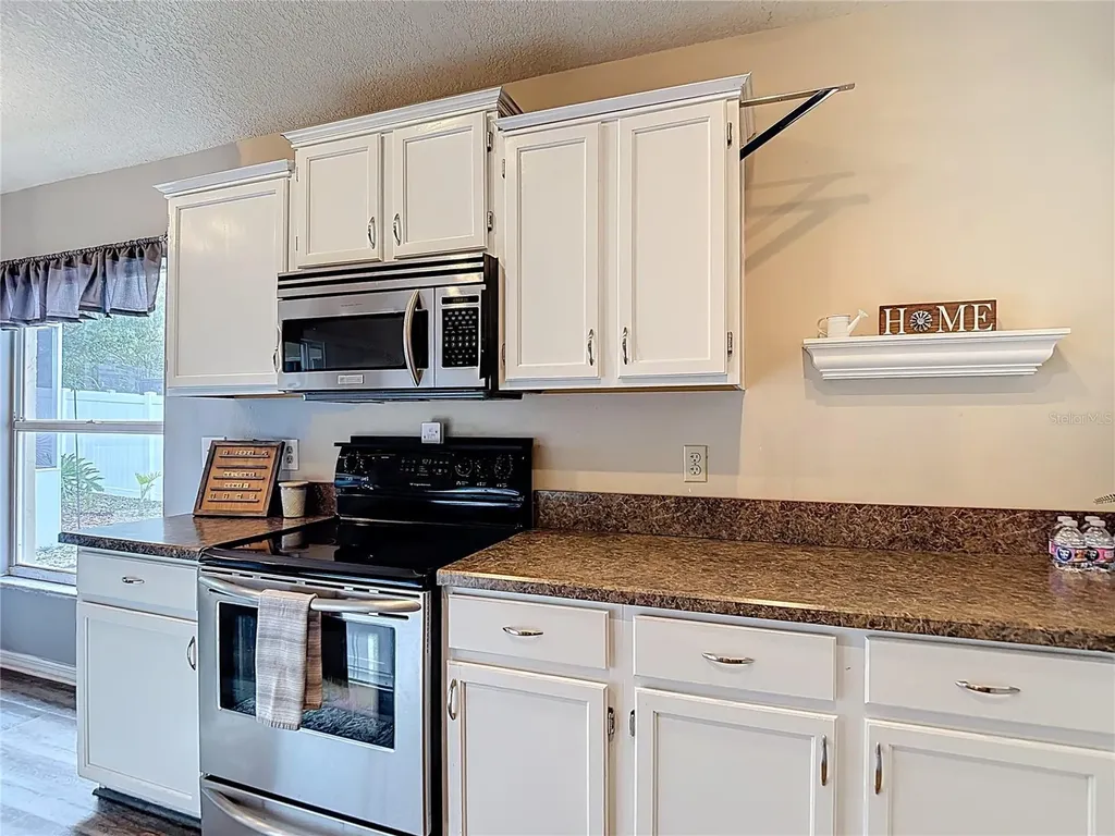 2631 Green Valley Street Valrico FL 33596