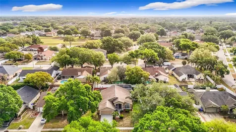 2631 Green Valley Street Valrico FL 33596