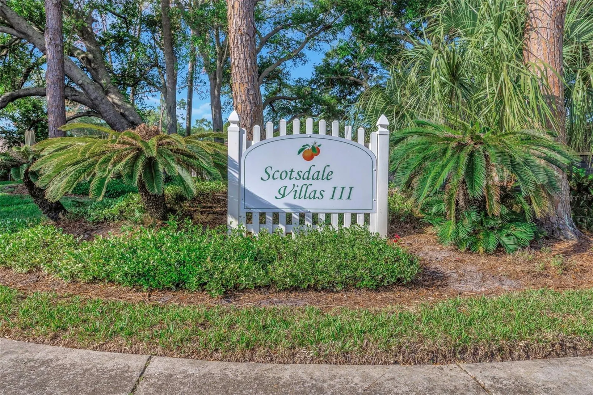 1101 Tarridon Court Dunedin FL 34698
