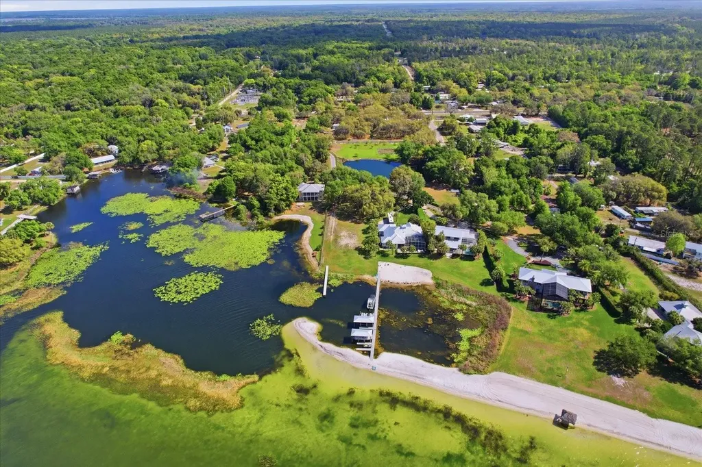 Tbd SE 142nd Court Ocklawaha FL 32179