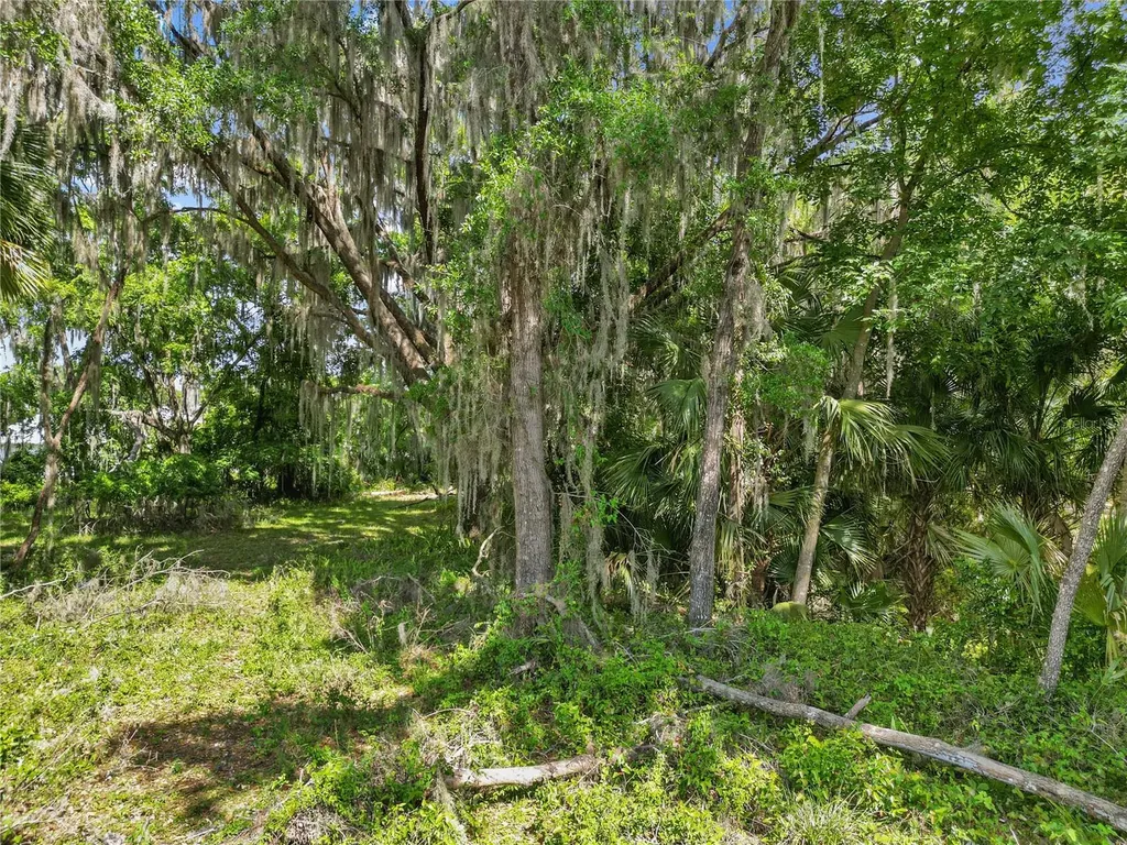 1025 Cr 452a Lake Panasoffkee FL 33538