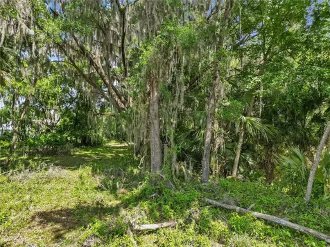 1025 Cr 452a Lake Panasoffkee FL 33538