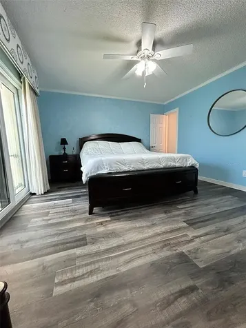 868 Bayway Boulevard Clearwater Beach FL 33767