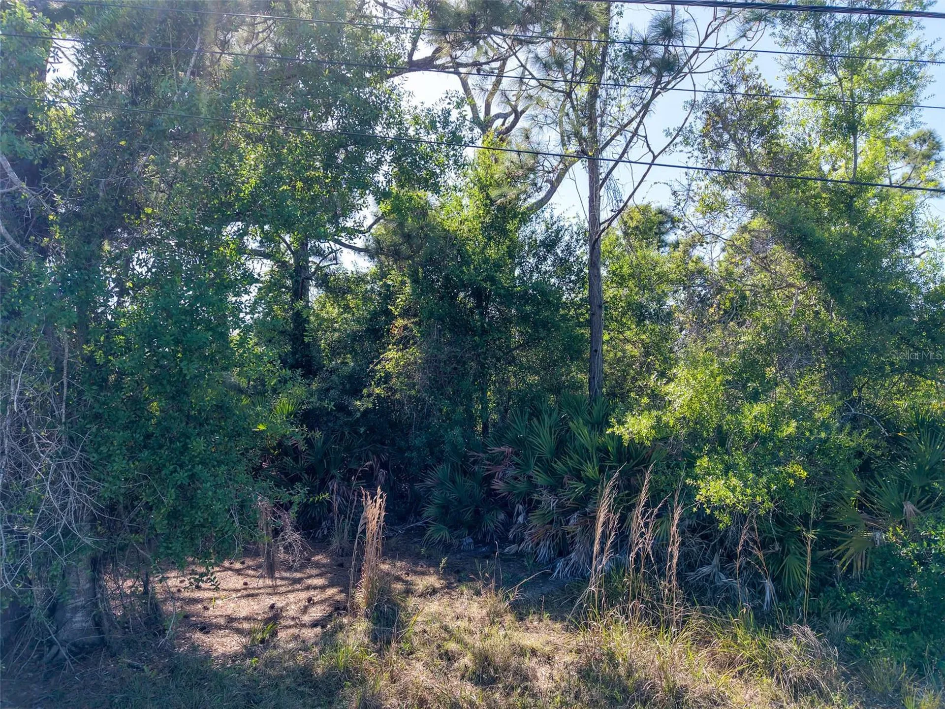 274 Sweetwater Drive Rotonda West FL 33947