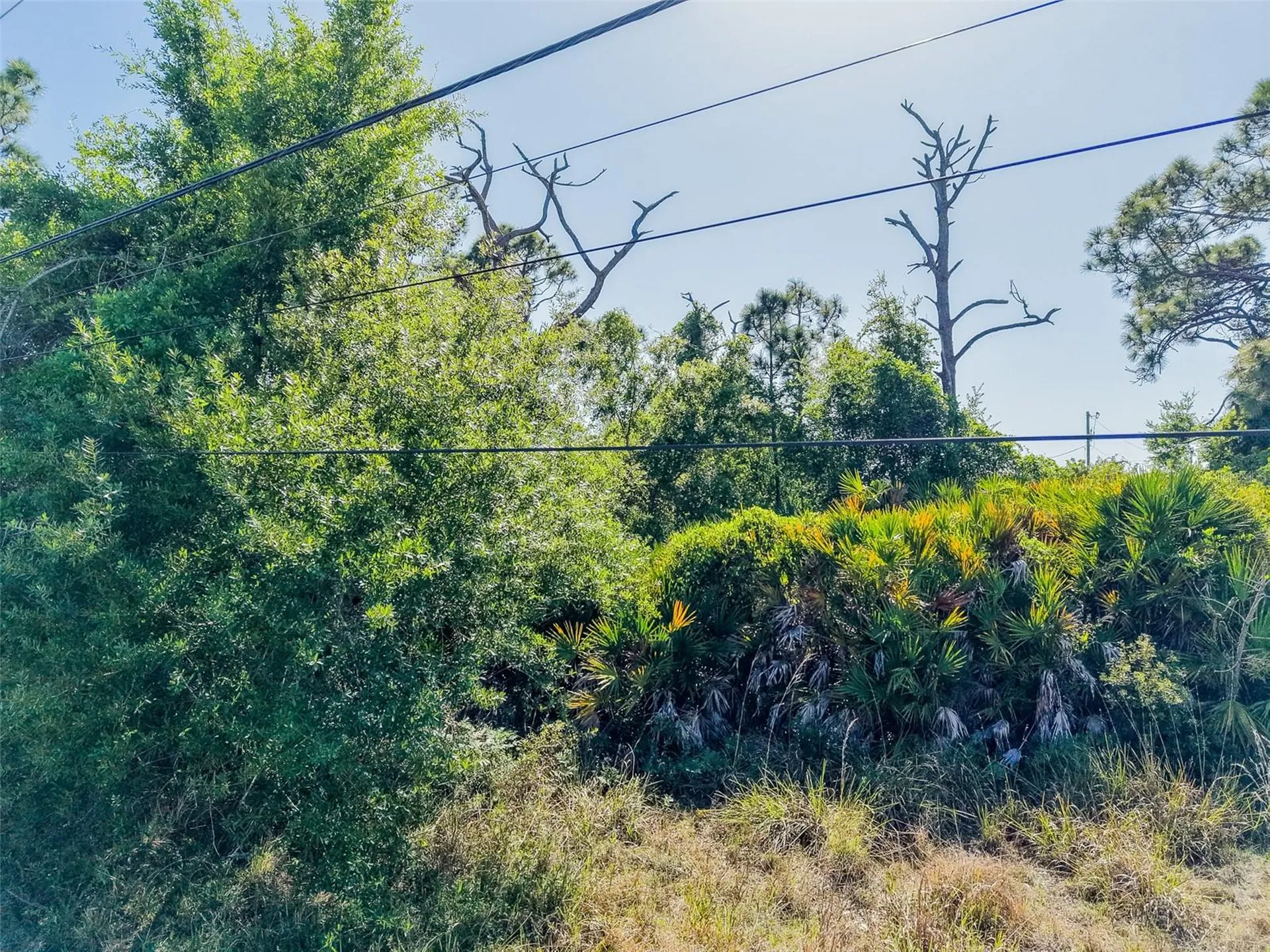 274 Sweetwater Drive Rotonda West FL 33947