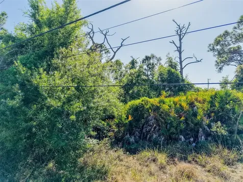 274 Sweetwater Drive Rotonda West FL 33947