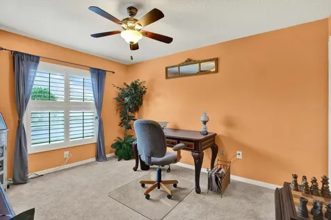 2021 Meadow Rue Court Trinity FL 34655