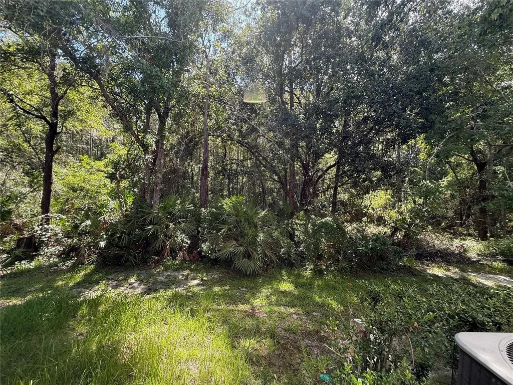 2349 Willimette Drive Wesley Chapel FL 33543