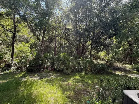 2349 Willimette Drive Wesley Chapel FL 33543