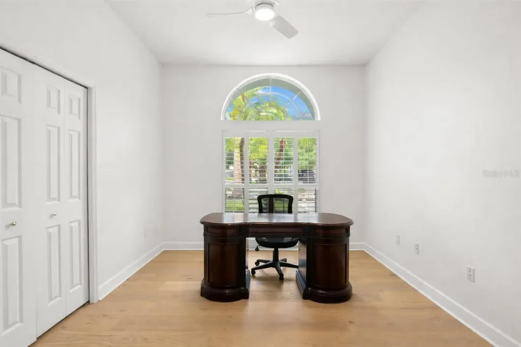 3692 Johnathon Avenue Palm Harbor FL 34685