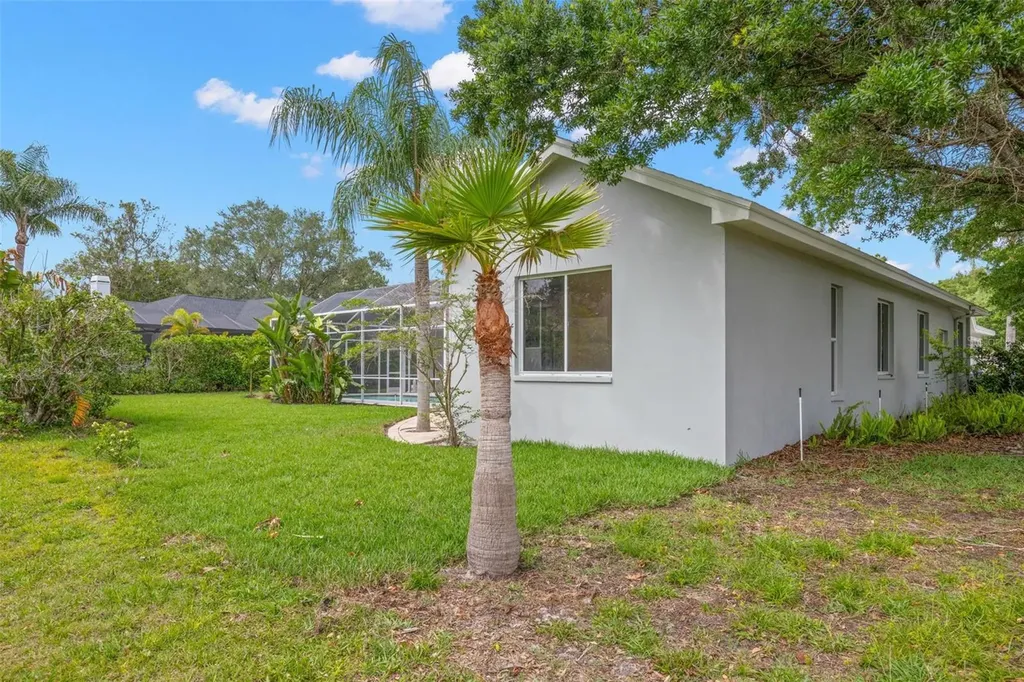 3692 Johnathon Avenue Palm Harbor FL 34685