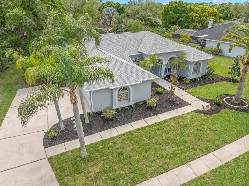 3692 Johnathon Avenue Palm Harbor FL 34685