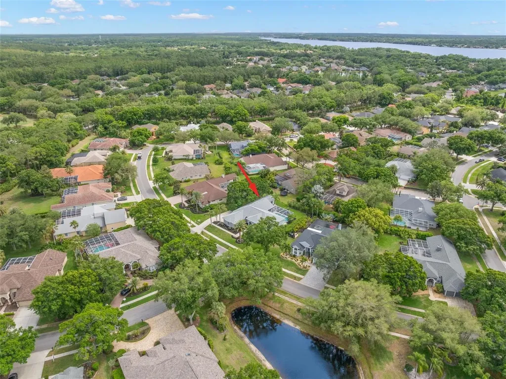 3692 Johnathon Avenue Palm Harbor FL 34685