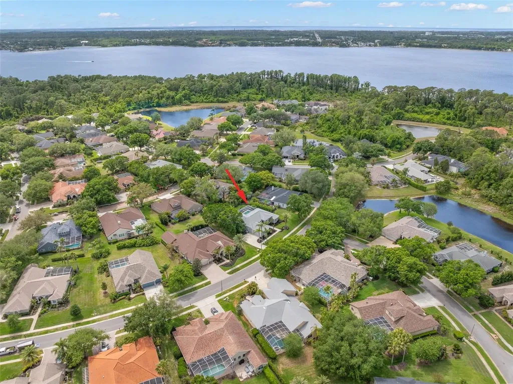 3692 Johnathon Avenue Palm Harbor FL 34685